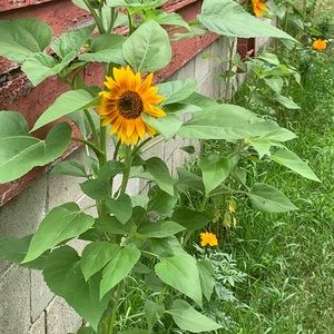 Meet your Posher, Marissa